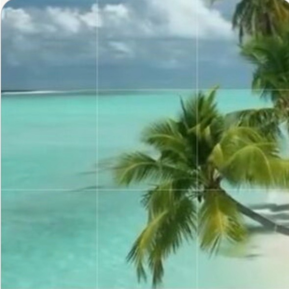 Tropical Beach Canvas Art